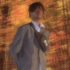 Balenciaga посвятил коллекцию вымирающим видам животных