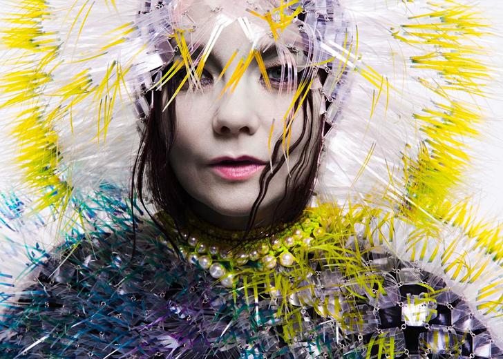 «Я не знала, що з нею робити»: Björk — про пісню для колаборації з Rosalía