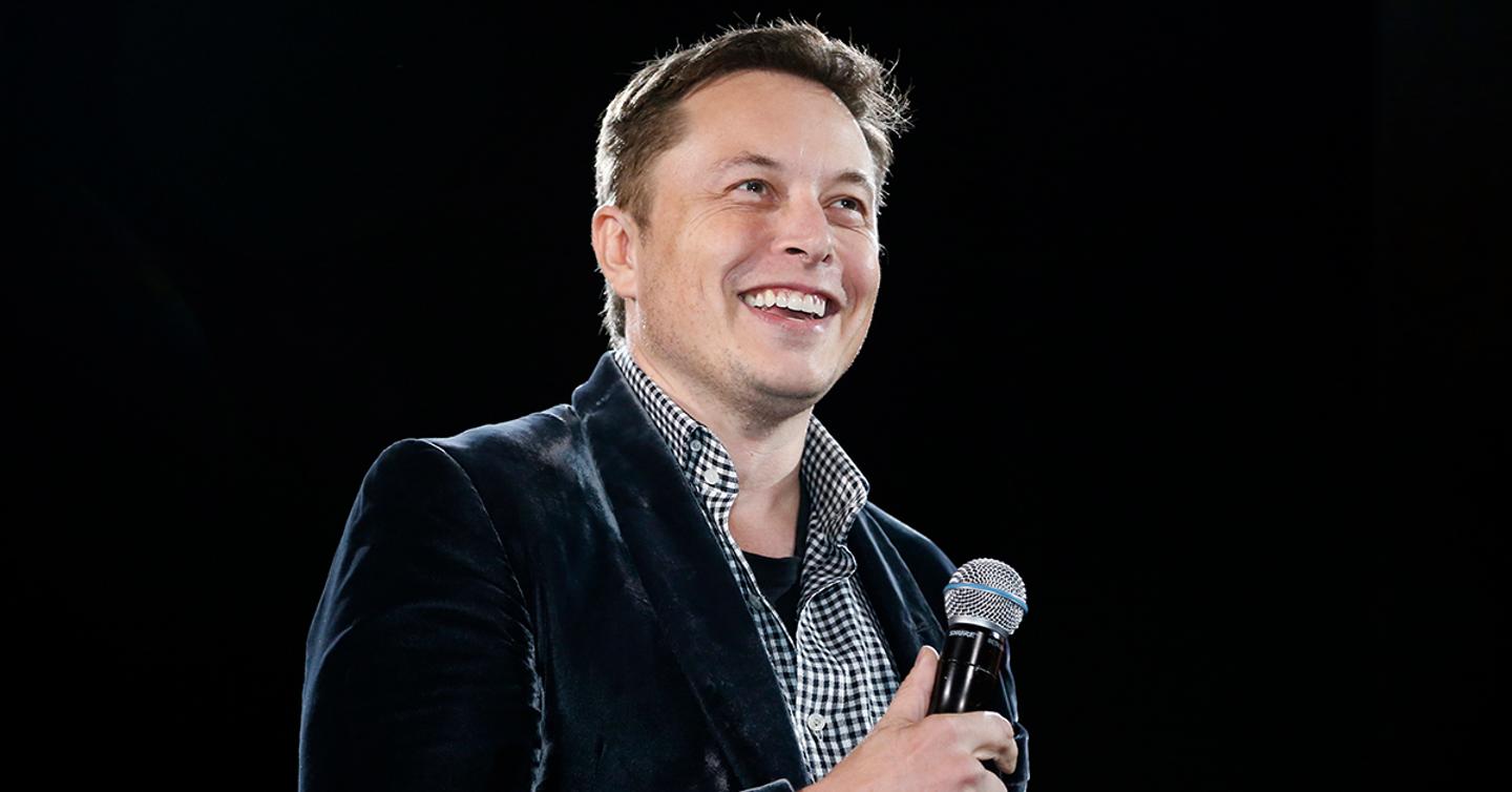 elon-musk-harambe-dtf-magazine Илон Маск записал трек об умершей горилле