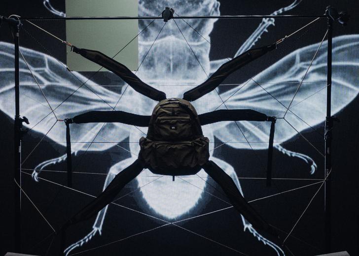 Колекція COLEOPTERA RIOTDIVISION