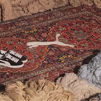 puma-jaipur-rugs-cover-dtf-magazine PUMA Jaipur Rugs