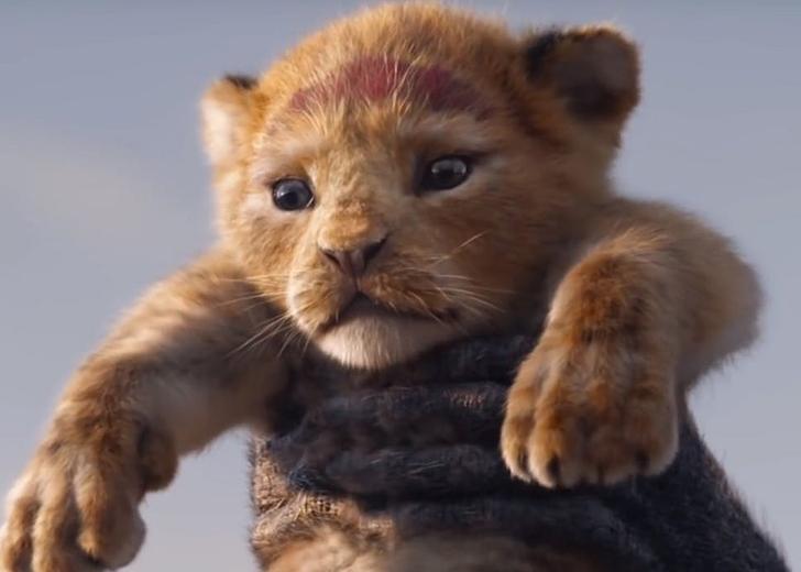 lion-king-dtf-magazine Смотрите первый трейлер ремейка «Короля льва»