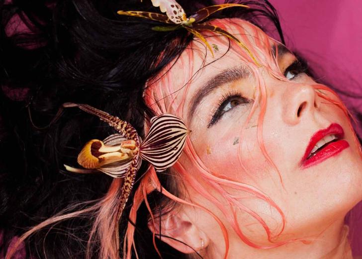 bjork_dj_mix_mixmag_visuals_blissing_me_header Бьорк записала первый диджей-микс
