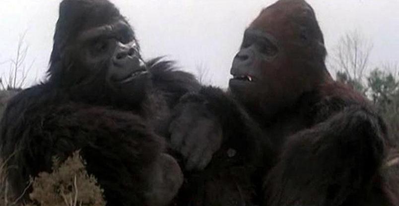 kong: ostrov cherepa, kak menjalsja obraz king-konga v kino, DTF Magazine
