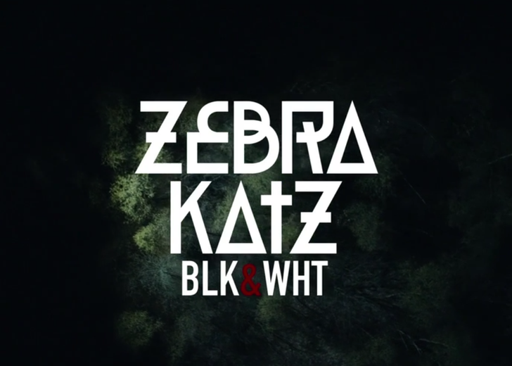 Смотрите новый клип Zebra Katz