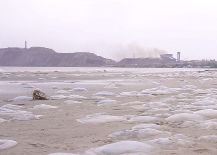 Watch a film by Mariupol artist Zoya Laktionova, dedicated to her hometown.