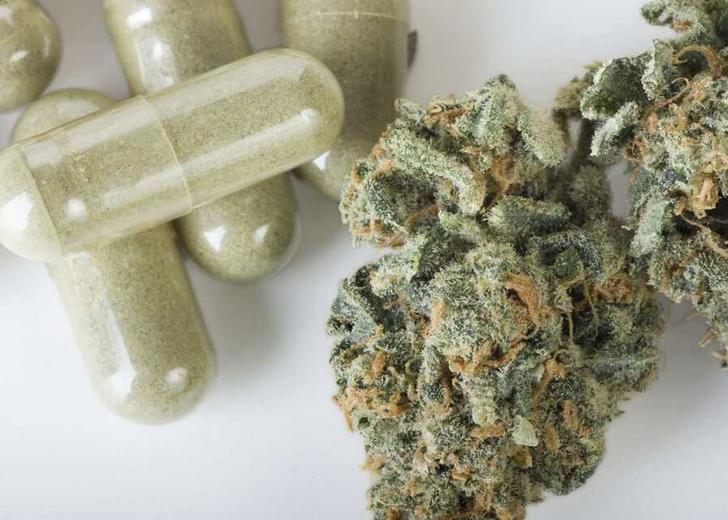 Medicinal Marijuana Кабінет міністрів підримав законопроєкт про медичний канабіс