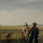 Netflix выпустил первый трейлер драмы «Ферма “Мадбаунд”»