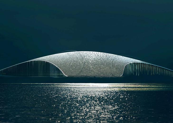 the-whale-museum-norway-cover-dtf-magazine 1 The Whale