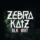Смотрите новый клип Zebra Katz