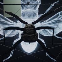 Колекція COLEOPTERA RIOTDIVISION