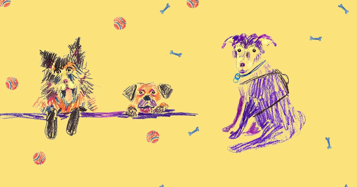 dogs-dtf-magazine В Киеве пройдет кинофестиваль о животных