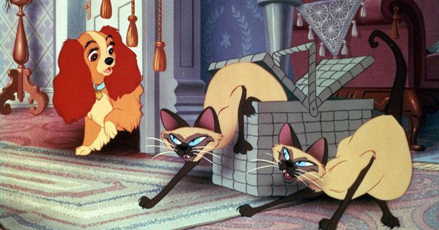 lady-and_the_tramp_dtf-magazine Disney+ предупреждает об «устаревшем изображении культуры» в мультфильмах
