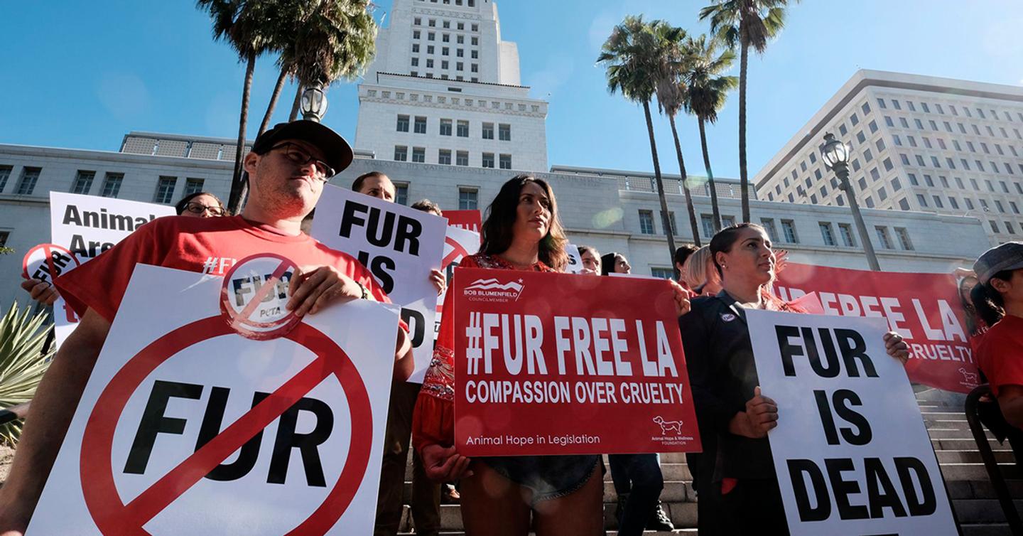 fur-ban-california-dtf-magazine Штат Калифорния запретит производство и продажу меха с 2023 года
