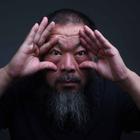 Ай Вэйвэй запустил проект на Kickstarter для новой выставки