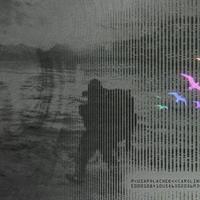 Керолайн полачек випустила саундтрек для Death Stranding