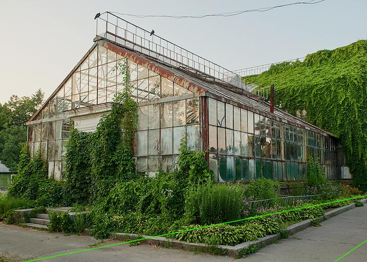 В оранжерее на ВДНГ пройдет вечеринка ШЩЦ. Хедлайнер — Kedr Livanskiy