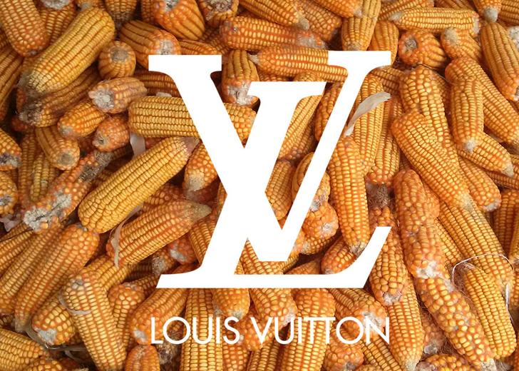 lv-dtf-magazine Украинские пенсионеры хранили корм для кур в сундуке Louis Vuitton