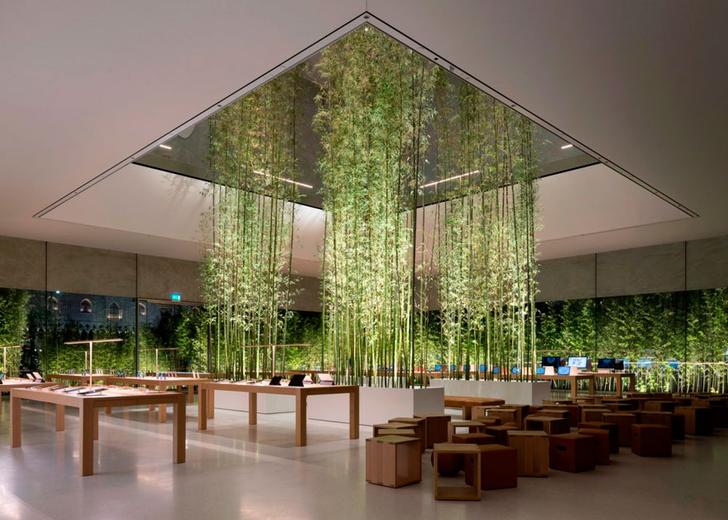 apple_macao_dtf_header Бамбук и прозрачный камень: Как выглядит эко-магазин Apple в Макао