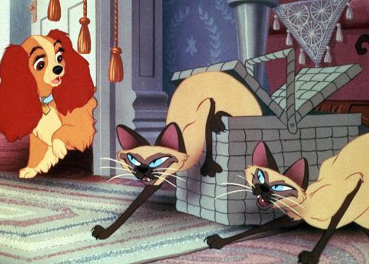 Disney+ предупреждает об «устаревшем изображении культуры» в мультфильмах