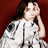 PJ Harvey