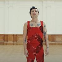 Harry Styles released a new music video. It was directed by Ukrainian director Tanu Muino