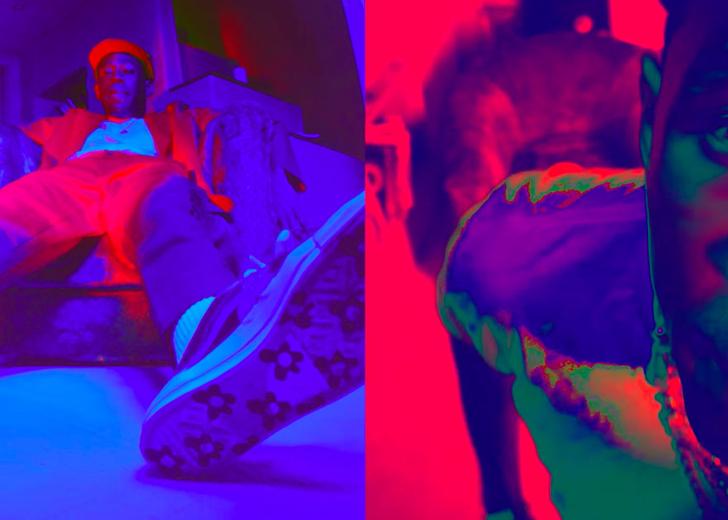 Tyler, The Creator зовет Тимоте Шаламе к себе в новом клипе