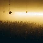 Киевская Схема и Boiler Room проведут совместный стрим