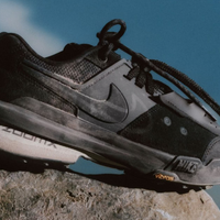 Кросівки sacai x Nike Zegamadome