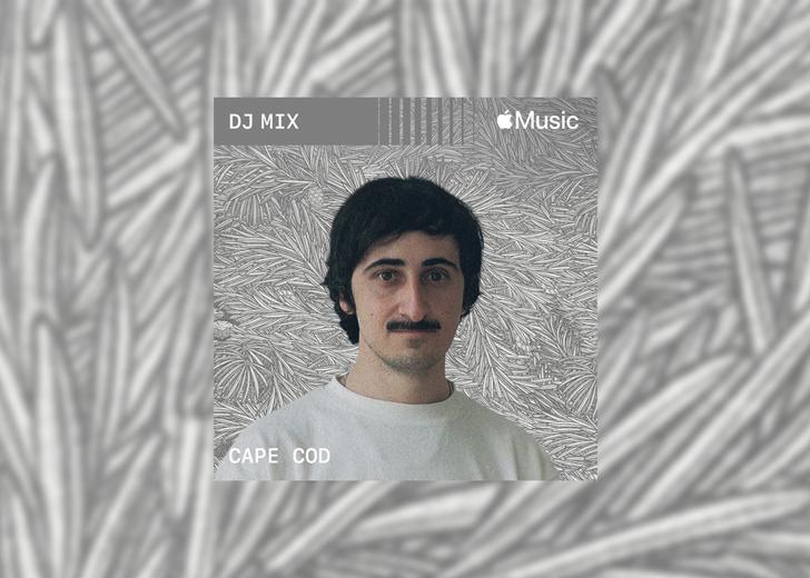 cape-cod-cover-dtf-magazine Cape Cod has created a mix for Apple Music