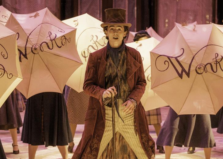 wonka-timothee-chalamet-dtf-magazine Тімоті Шаламе у ролі Віллі Вонки