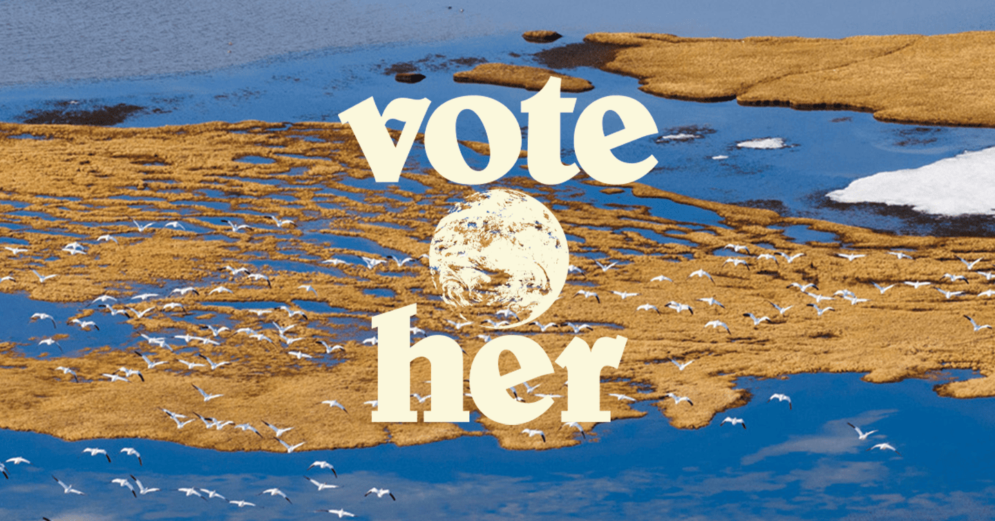 Ініціатива Vote Her від Patagonia