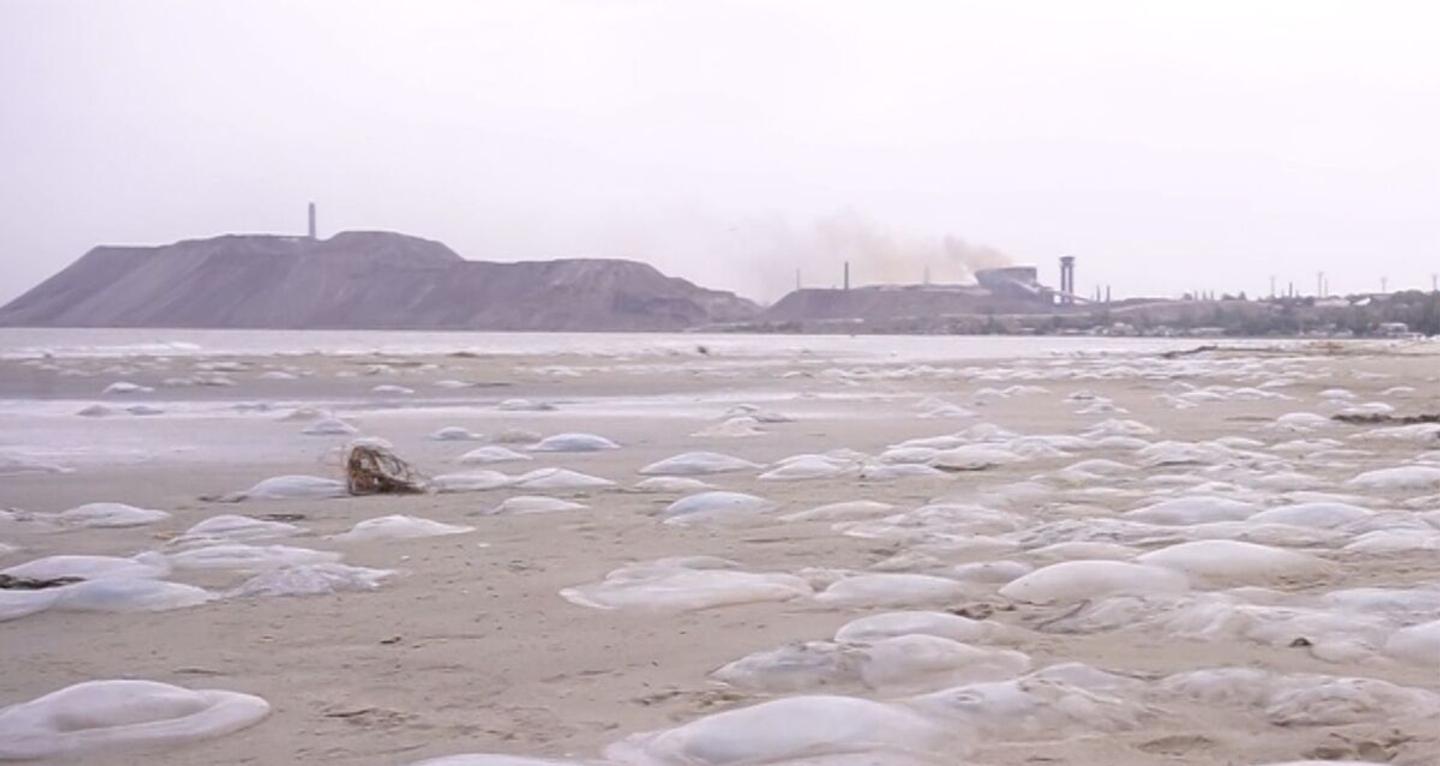 Watch a film by Mariupol artist Zoya Laktionova, dedicated to her hometown.