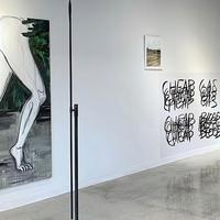 Fredric Snitzer Gallery та київська Voloshyn Gallery відкрили благодійну виставку сучасного мистецтва