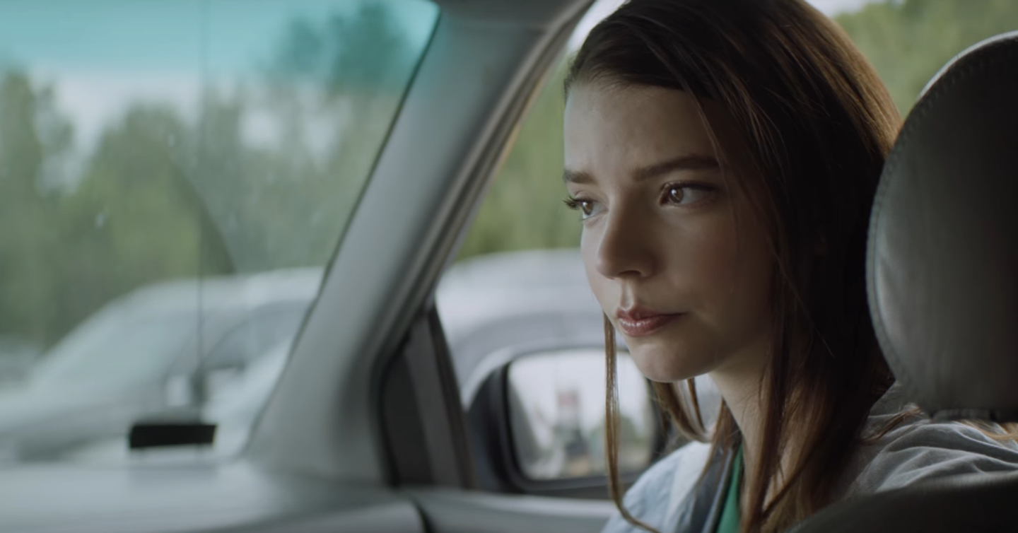 Смотрите первый трейлер фильма «Чистокровный»