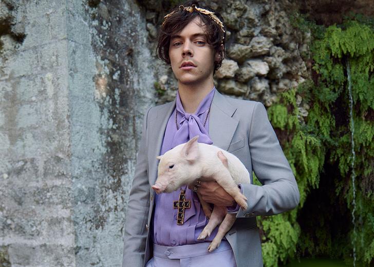 Gucci снял Гарри Стайлса и поросят в новом кампейне