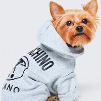 H&M и Moschino выпустят одежду для собак
