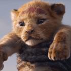 Смотрите первый трейлер ремейка «Короля льва»
