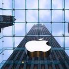 Apple зарегистрировала в Украине торговые марки «‎Эппл» и «‎Яблоко»