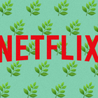 Netflix выпустил марихуану, вдохновленную сериалами