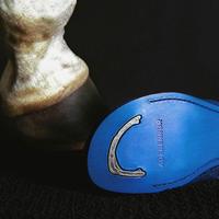 Кросівки ADER Error Horseshoe