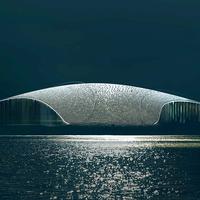 The Whale