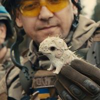 porcelainwar-cinema-dtf-magazine Кадр з документального фільму «Порцелянова війна»