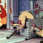 Disney+ предупреждает об «устаревшем изображении культуры» в мультфильмах