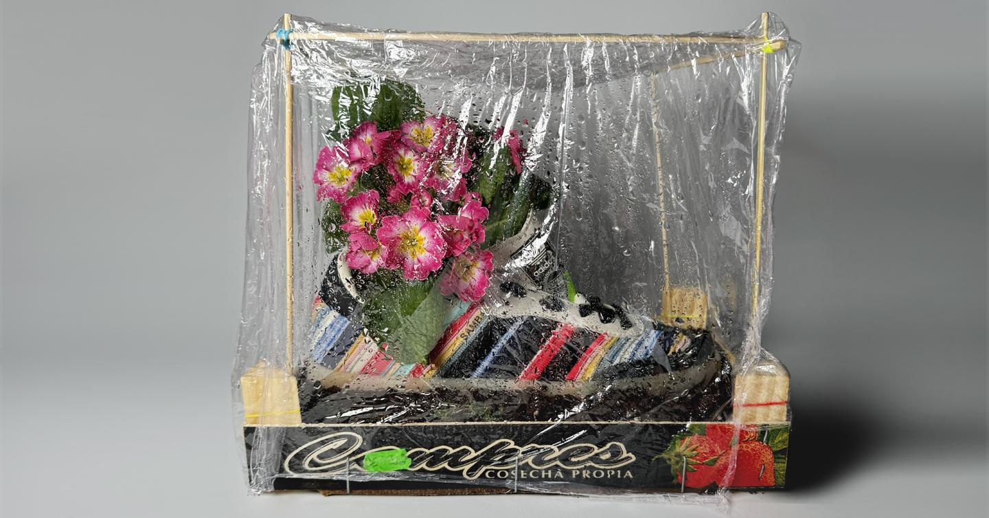 Ukrainian creator Floweirdy has made an international campaign KSENIASCHNAIDER x adidas Originals