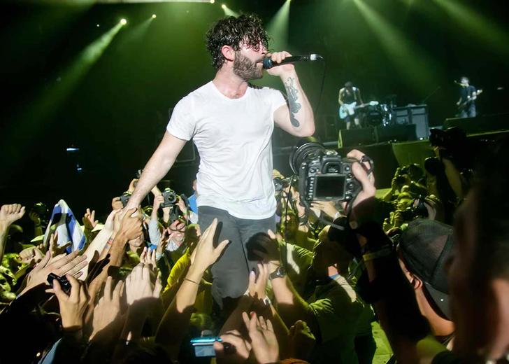 Foals