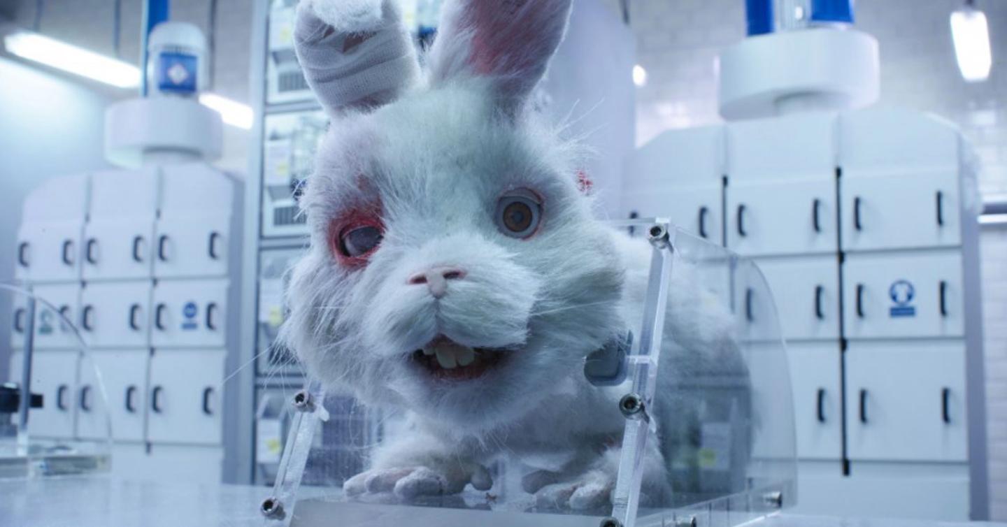 animaltesting_dtf2 У Великій Британії знову дозволили тестувати косметику на тваринах