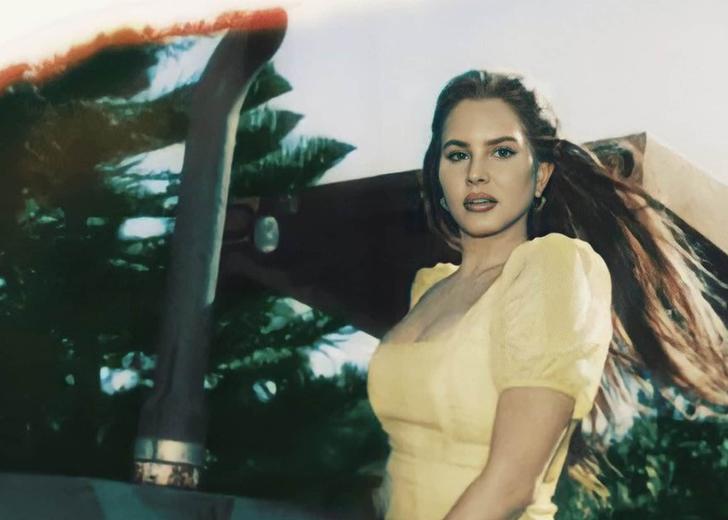 lana-car-dtf-magazine Лану Дель Рей пограбували. Вкрали жорсткий диск з новою музикою та рукопис її книги