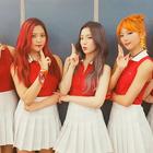 В Северной Корее впервые за 13 лет выступят K-pop артисты