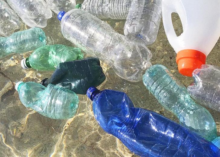 plastic Ученые создали древесный биопластик. Он разлагается за три месяца